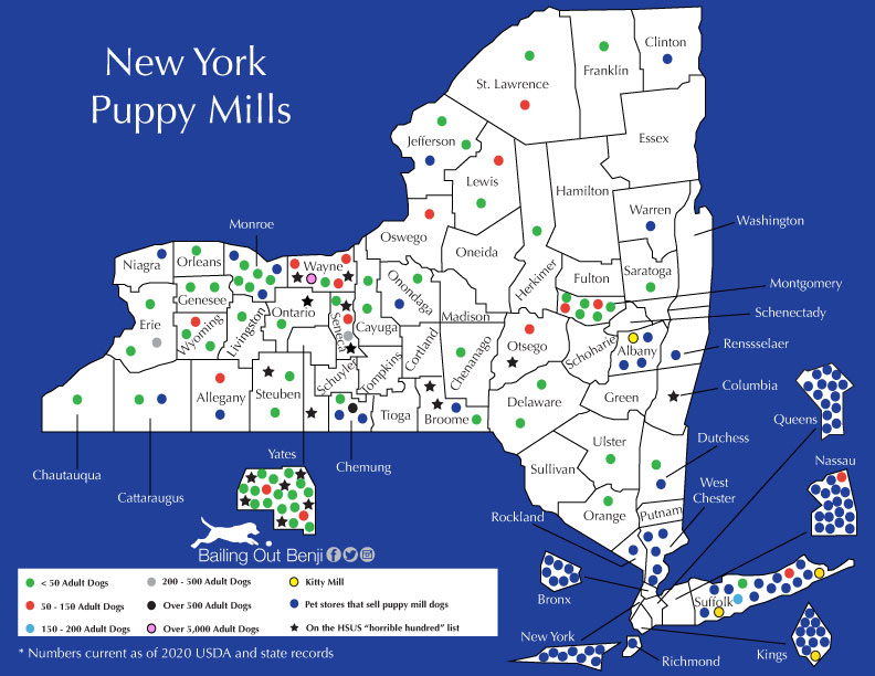 which state has the most puppy mills