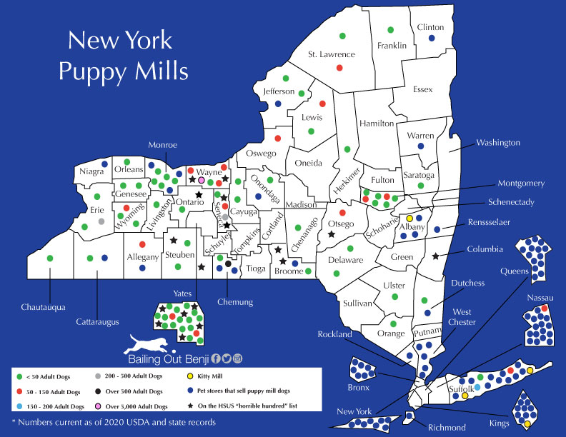 which state has most puppy mills