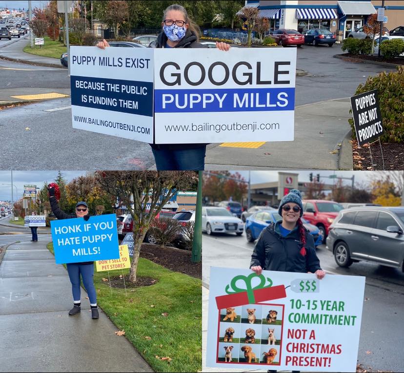 Our Washington team protesting puppy stores!
