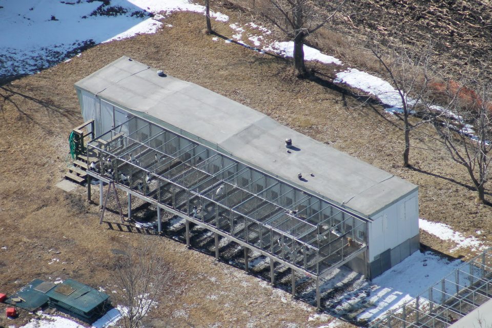 423177_372618232765954_1134268426_n