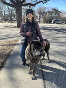 A photo of our founder Mindi and her English Mastiff Ox on a walk