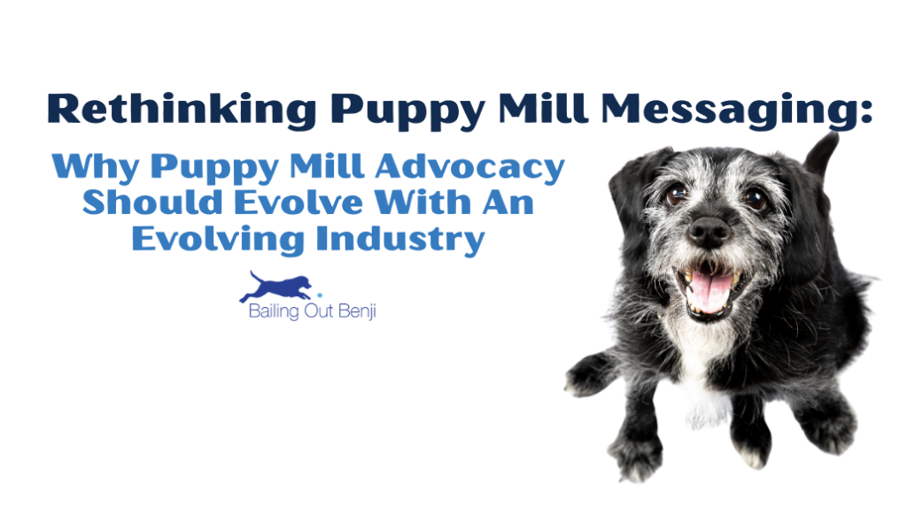 Rethinking Puppy Mill Messaging