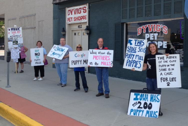 Our peaceful protests in front of Dyvig's Pet Shoppe