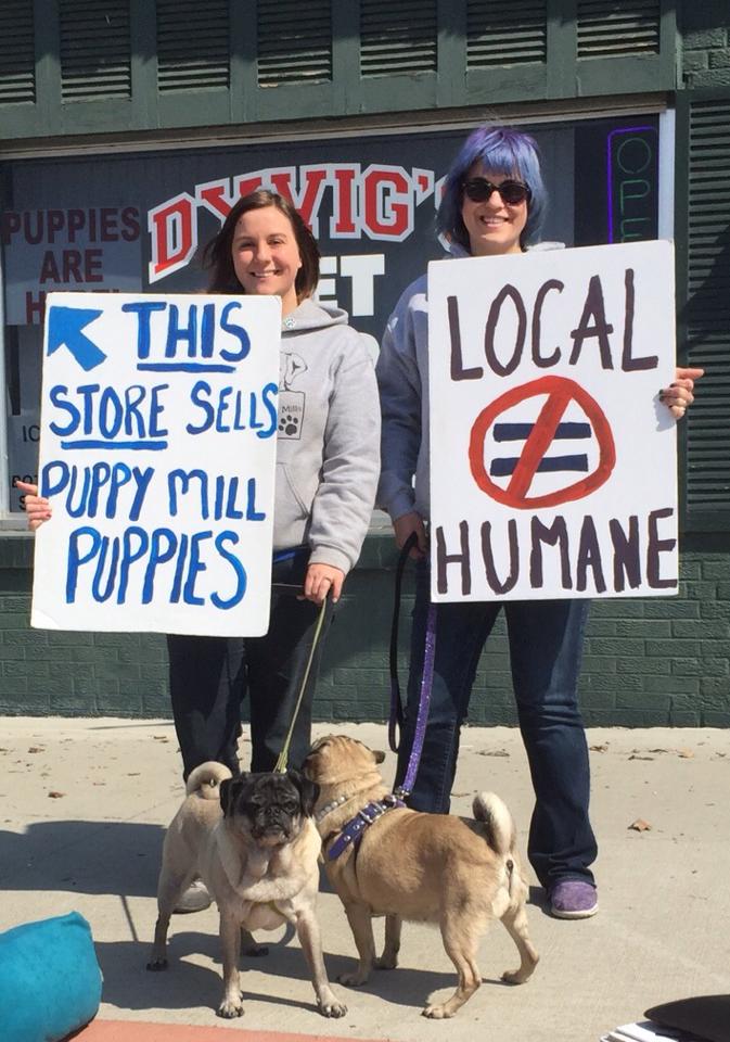 Peaceful pet store protest 